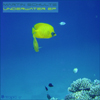 15underwaterep_cover.jpg